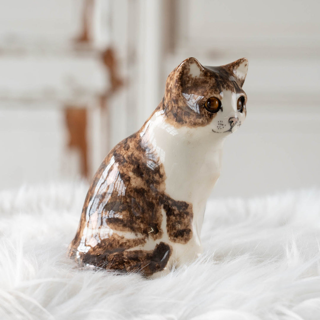 【Winstanley Cat ウィンスタンレイ キャット】◇きりっとした瞳でこちらを見つめる Brown tabby ブラウンタビー /24E[m]