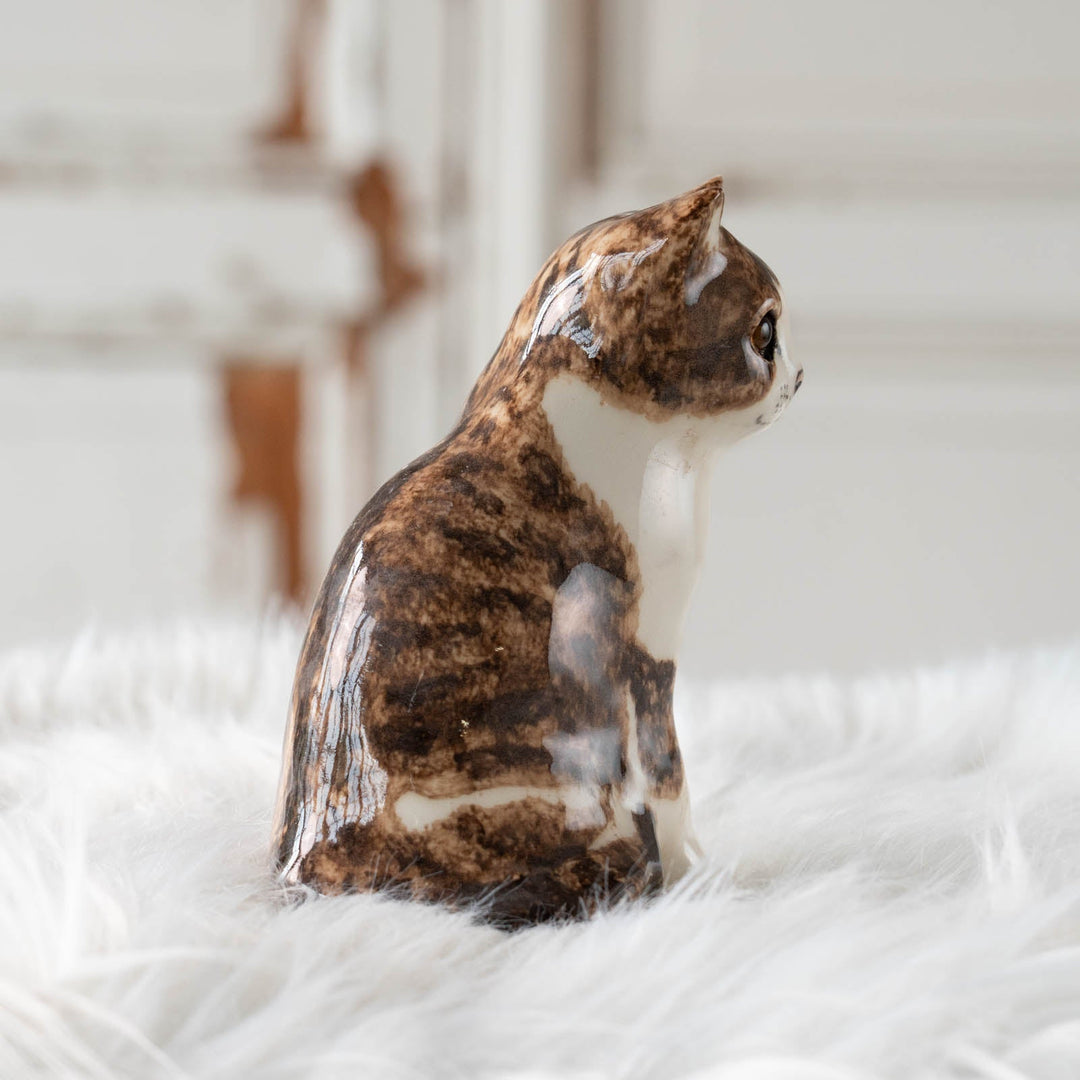 【Winstanley Cat ウィンスタンレイ キャット】◇きりっとした瞳でこちらを見つめる Brown tabby ブラウンタビー /24E[m]