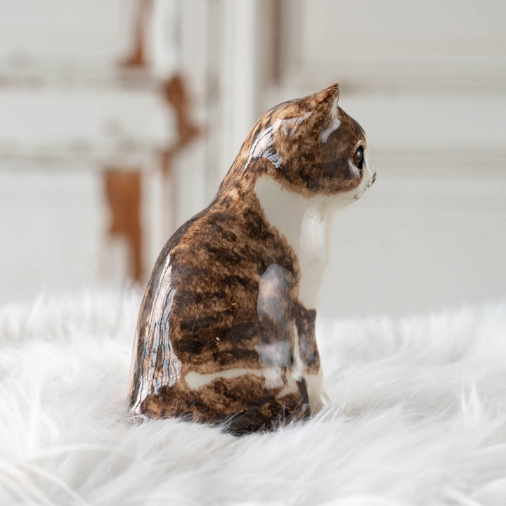 【Winstanley Cat ウィンスタンレイ キャット】◇きりっとした瞳でこちらを見つめる Brown tabby ブラウンタビー /24E[m]
