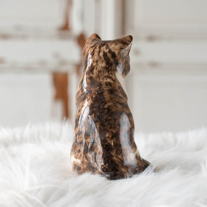 【Winstanley Cat ウィンスタンレイ キャット】◇きりっとした瞳でこちらを見つめる Brown tabby ブラウンタビー /24E[m]