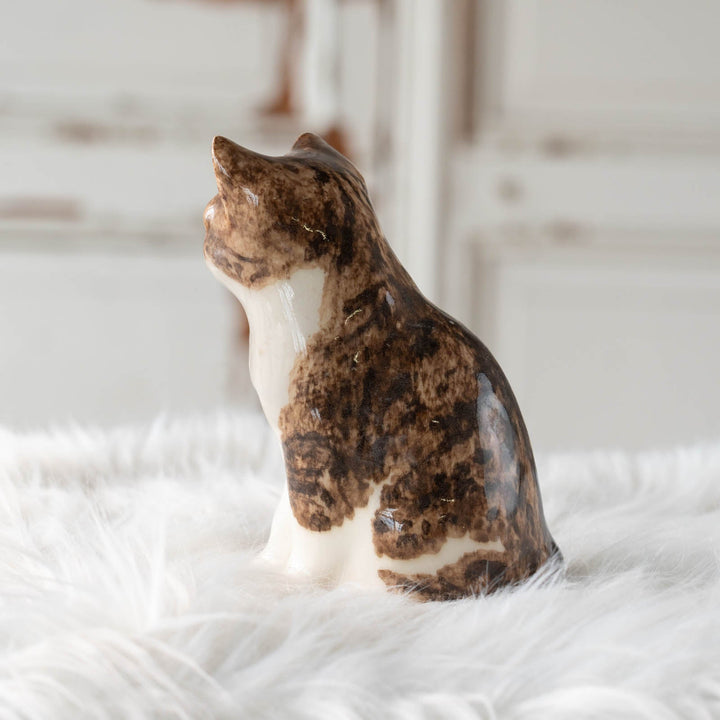 【Winstanley Cat ウィンスタンレイ キャット】◇きりっとした瞳でこちらを見つめる Brown tabby ブラウンタビー /24E[m]