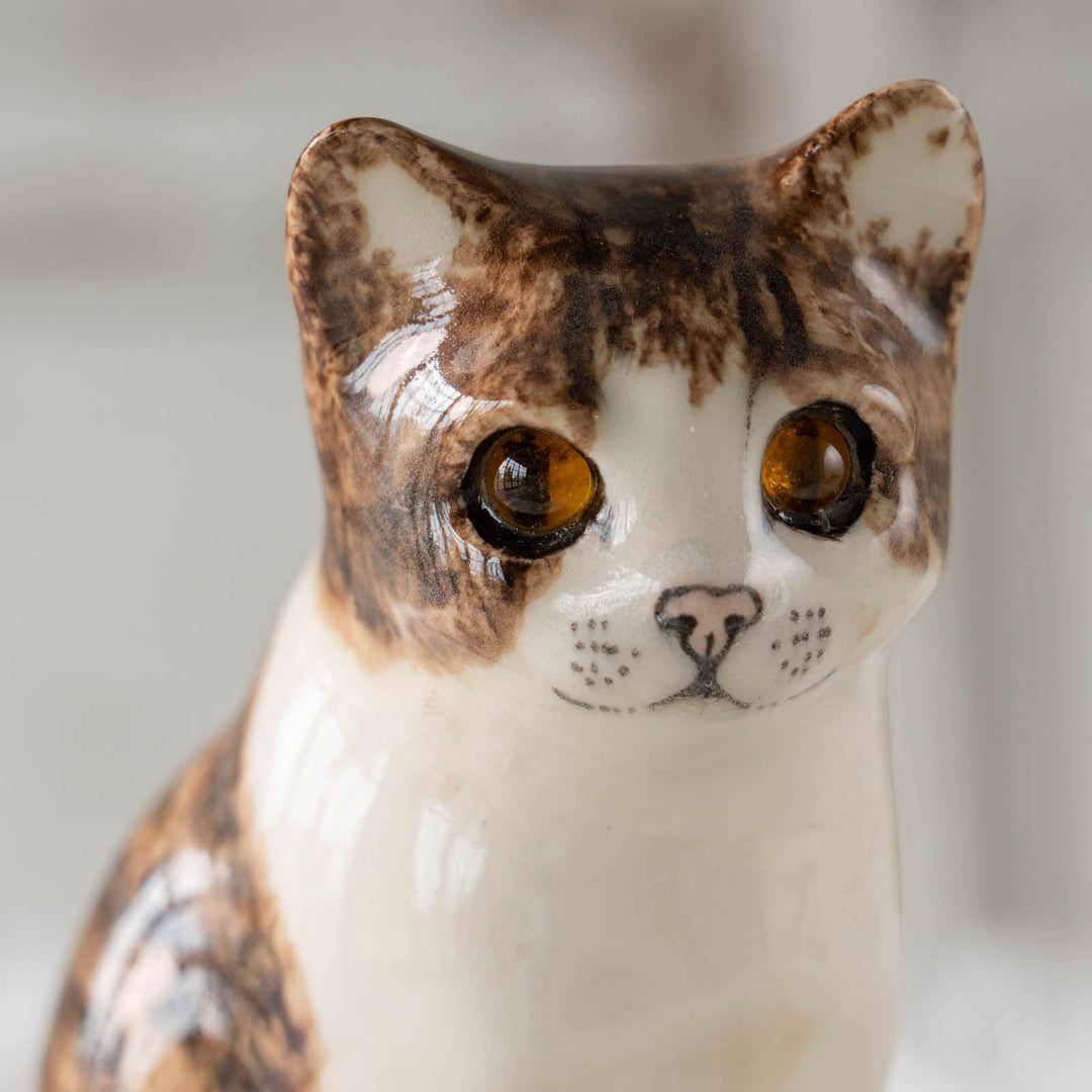 【Winstanley Cat ウィンスタンレイ キャット】◇きりっとした瞳でこちらを見つめる Brown tabby ブラウンタビー /24E[m]