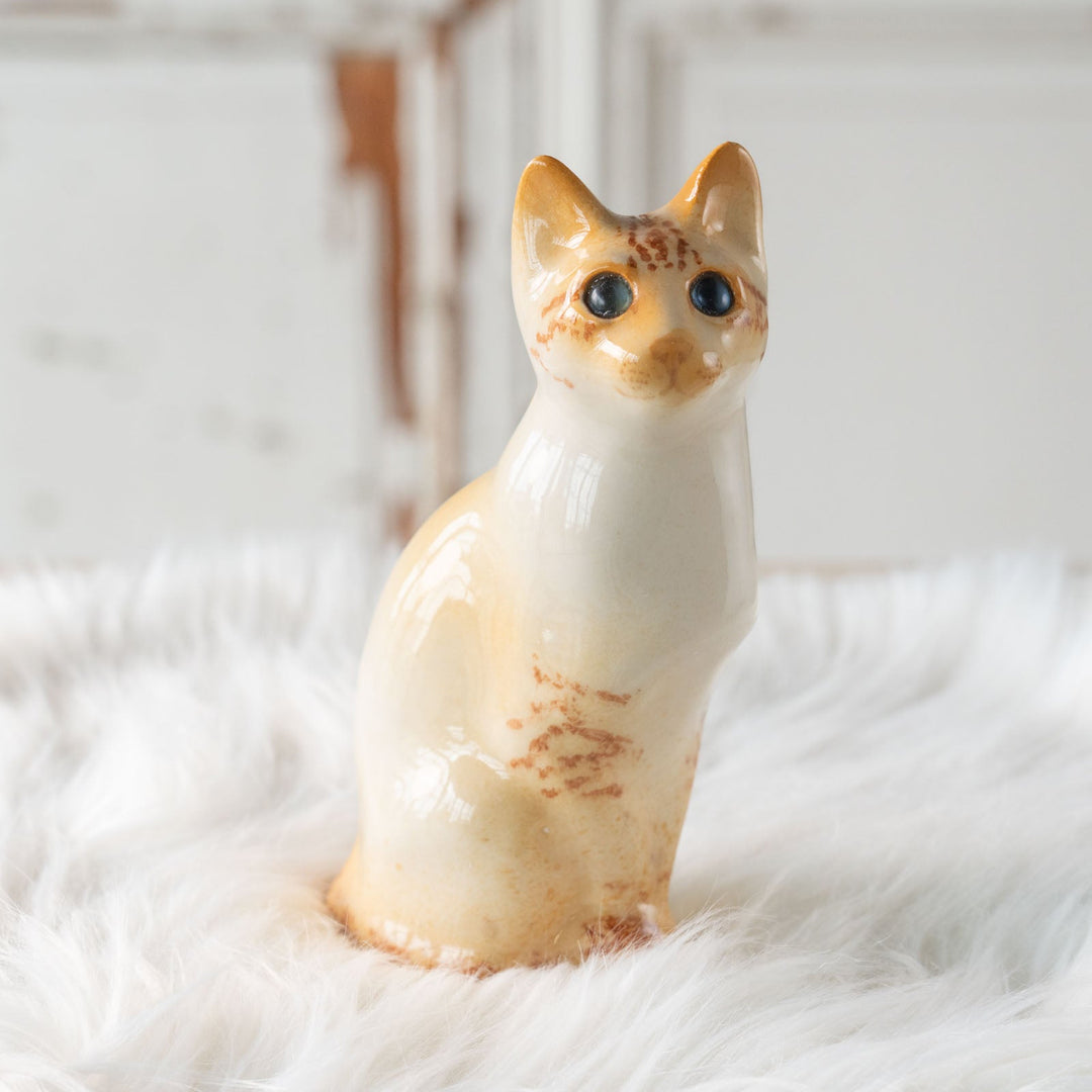 【Winstanley Cat ウィンスタンレイ キャット】◇キラキラとした瞳で遠くを見つめる ブルーアイ Redpoint Siamese レッドポイント サイアミーズ /24E[m]