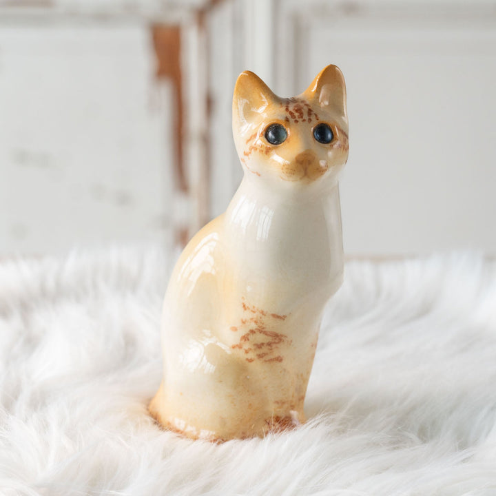 【Winstanley Cat ウィンスタンレイ キャット】◇キラキラとした瞳で遠くを見つめる ブルーアイ Redpoint Siamese レッドポイント サイアミーズ /24E[m]