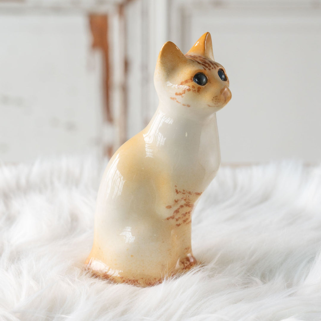 【Winstanley Cat ウィンスタンレイ キャット】◇キラキラとした瞳で遠くを見つめる ブルーアイ Redpoint Siamese レッドポイント サイアミーズ /24E[m]
