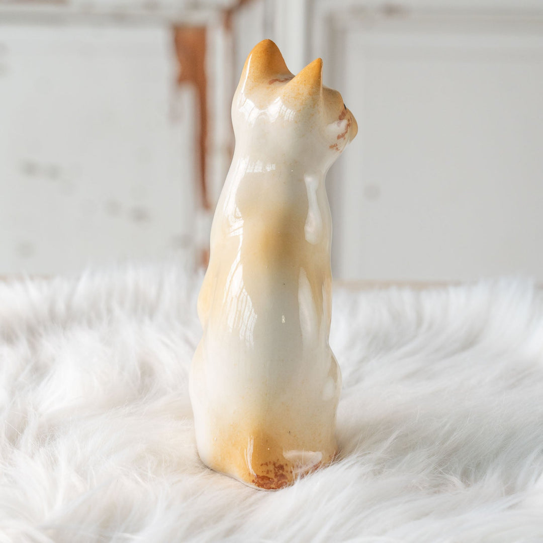 【Winstanley Cat ウィンスタンレイ キャット】◇キラキラとした瞳で遠くを見つめる ブルーアイ Redpoint Siamese レッドポイント サイアミーズ /24E[m]