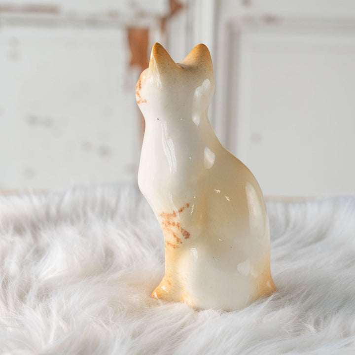 【Winstanley Cat ウィンスタンレイ キャット】◇キラキラとした瞳で遠くを見つめる ブルーアイ Redpoint Siamese レッドポイント サイアミーズ /24E[m]