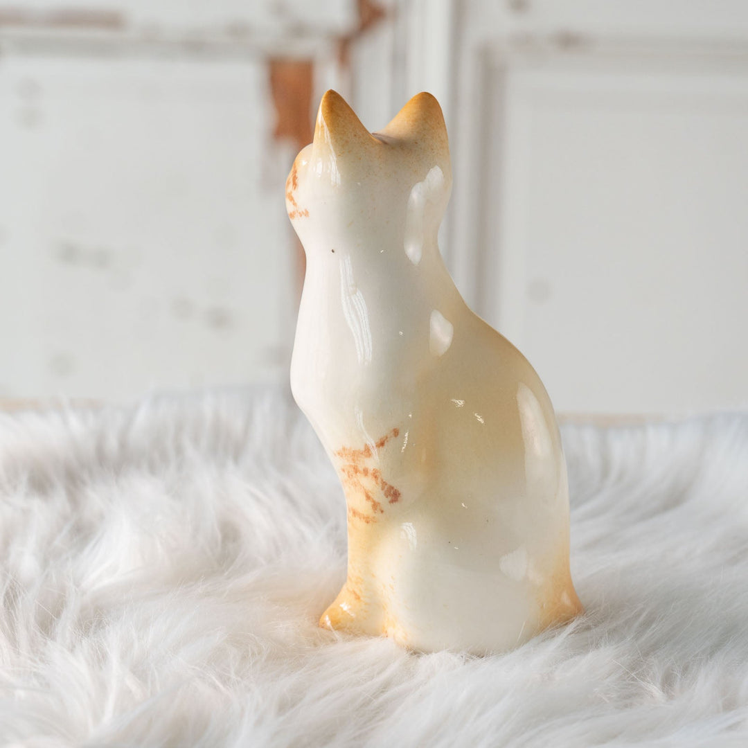 【Winstanley Cat ウィンスタンレイ キャット】◇キラキラとした瞳で遠くを見つめる ブルーアイ Redpoint Siamese レッドポイント サイアミーズ /24E[m]