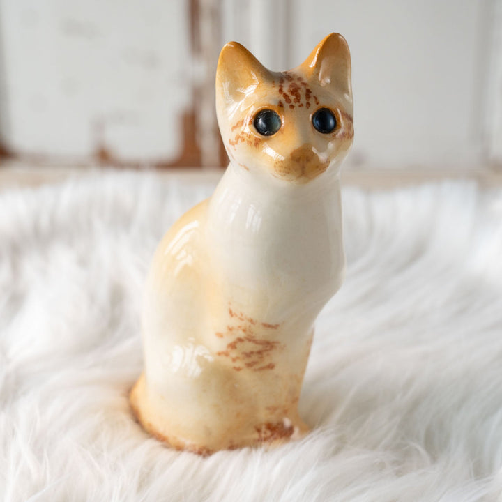 【Winstanley Cat ウィンスタンレイ キャット】◇キラキラとした瞳で遠くを見つめる ブルーアイ Redpoint Siamese レッドポイント サイアミーズ /24E[m]