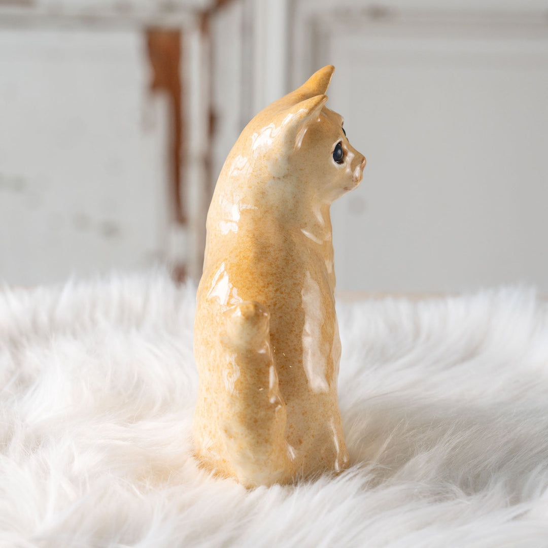 【Winstanley Cat ウィンスタンレイ キャット】◇ちょこっと上げた片足やカギしっぽが愛くるしい ブルーアイ Somari ソマリ /24E[m]