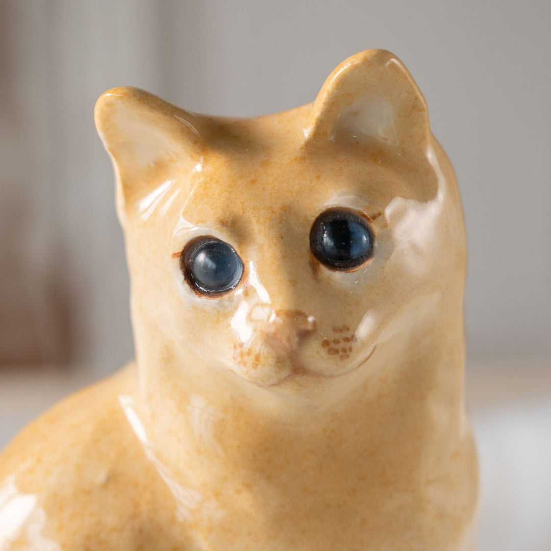 【Winstanley Cat ウィンスタンレイ キャット】◇ちょこっと上げた片足やカギしっぽが愛くるしい ブルーアイ Somari ソマリ /24E[m]