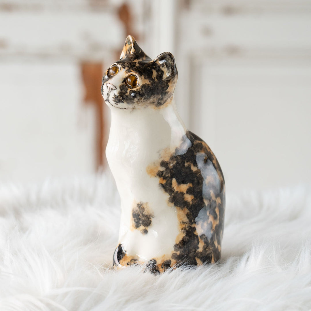 【Winstanley Cat ウィンスタンレイ キャット】◇小首をかしげた不思議そうな表情が魅力 Calico キャリコ /24E[m]
