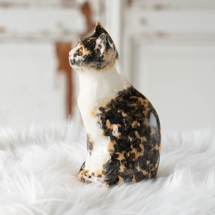【Winstanley Cat ウィンスタンレイ キャット】◇小首をかしげた不思議そうな表情が魅力 Calico キャリコ /24E[m]