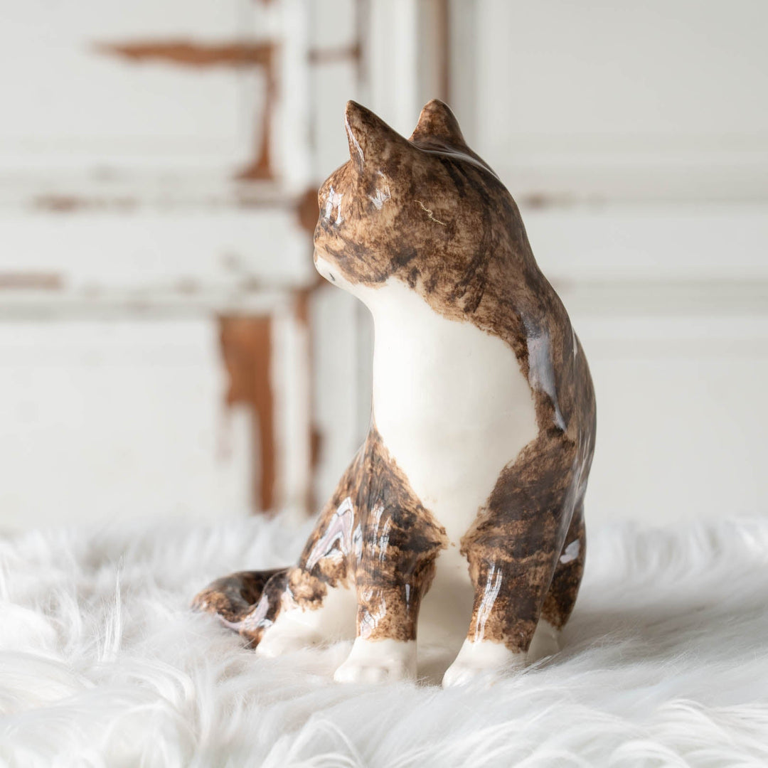 【Winstanley Cat ウィンスタンレイ キャット】◇振り向いた表情が凛として美しい Brown tabby ブラウンタビー /24E[m]