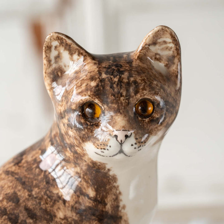 【Winstanley Cat ウィンスタンレイ キャット】◇振り向いた表情が凛として美しい Brown tabby ブラウンタビー /24E[m]