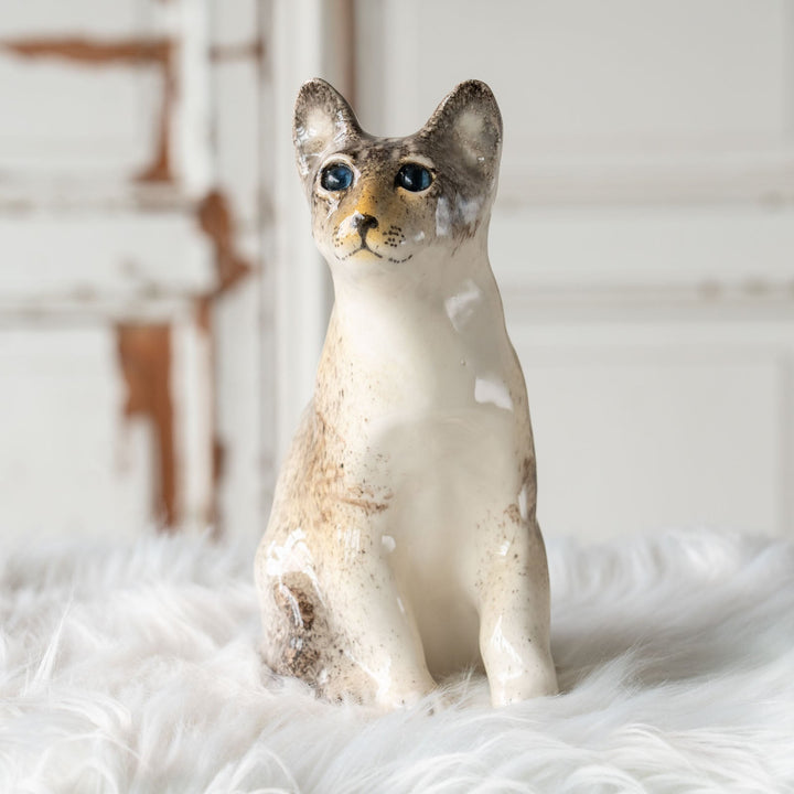 【Winstanley Cat ウィンスタンレイ キャット】◇細身の引き締まったフォルムが特徴的 ブルーアイ Oriental オリエンタル /24E[m]