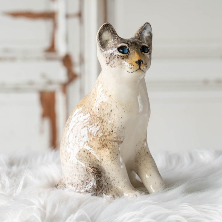 【Winstanley Cat ウィンスタンレイ キャット】◇細身の引き締まったフォルムが特徴的 ブルーアイ Oriental オリエンタル /24E[m]