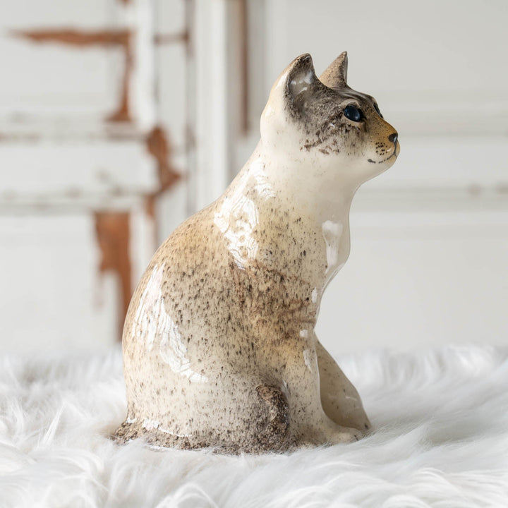 【Winstanley Cat ウィンスタンレイ キャット】◇細身の引き締まったフォルムが特徴的 ブルーアイ Oriental オリエンタル /24E[m]