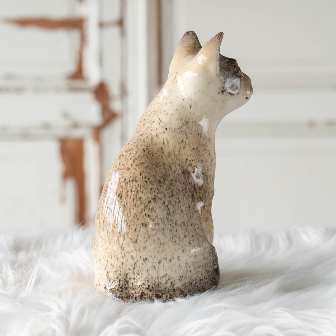 【Winstanley Cat ウィンスタンレイ キャット】◇細身の引き締まったフォルムが特徴的 ブルーアイ Oriental オリエンタル /24E[m]