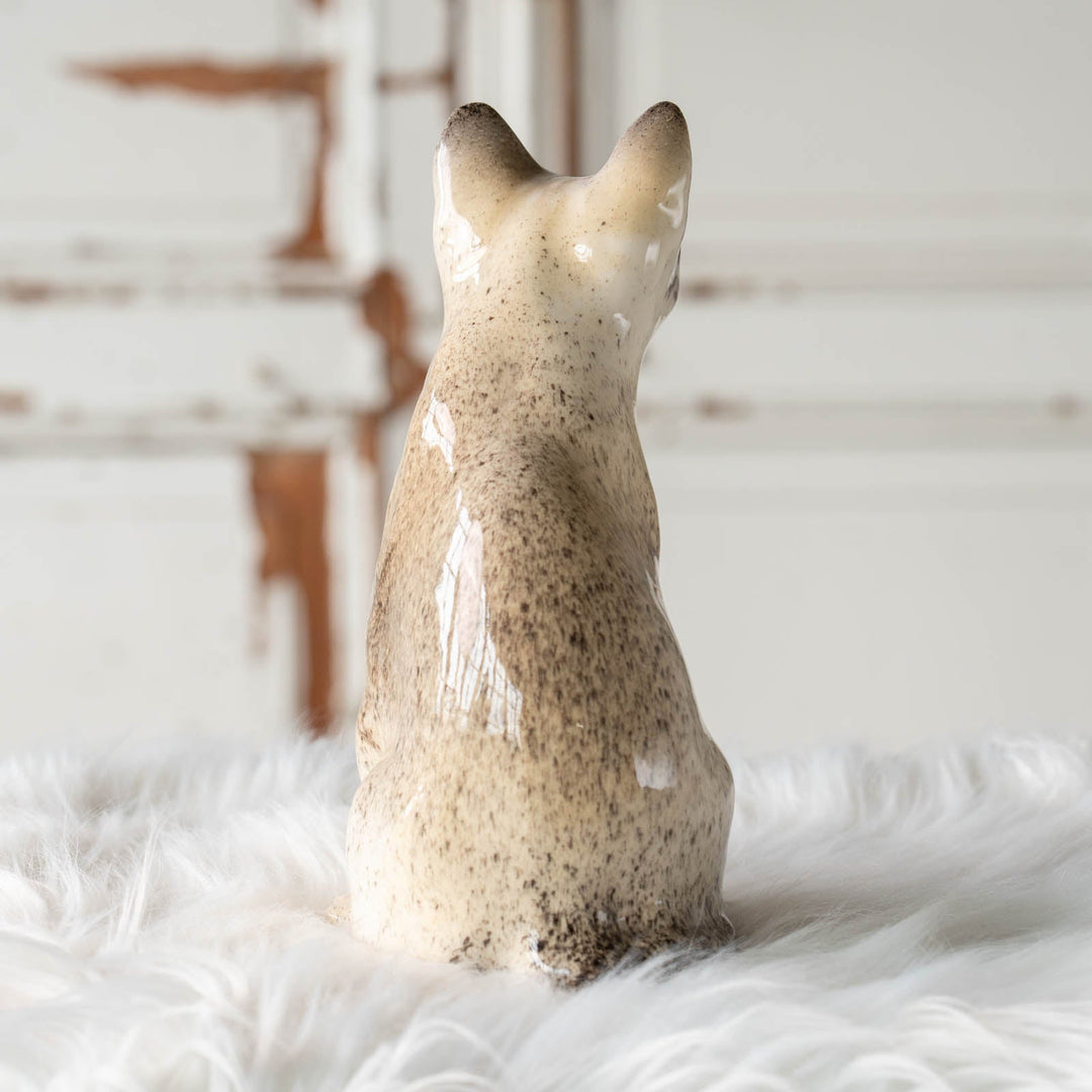 【Winstanley Cat ウィンスタンレイ キャット】◇細身の引き締まったフォルムが特徴的 ブルーアイ Oriental オリエンタル /24E[m]