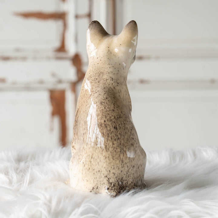 【Winstanley Cat ウィンスタンレイ キャット】◇細身の引き締まったフォルムが特徴的 ブルーアイ Oriental オリエンタル /24E[m]