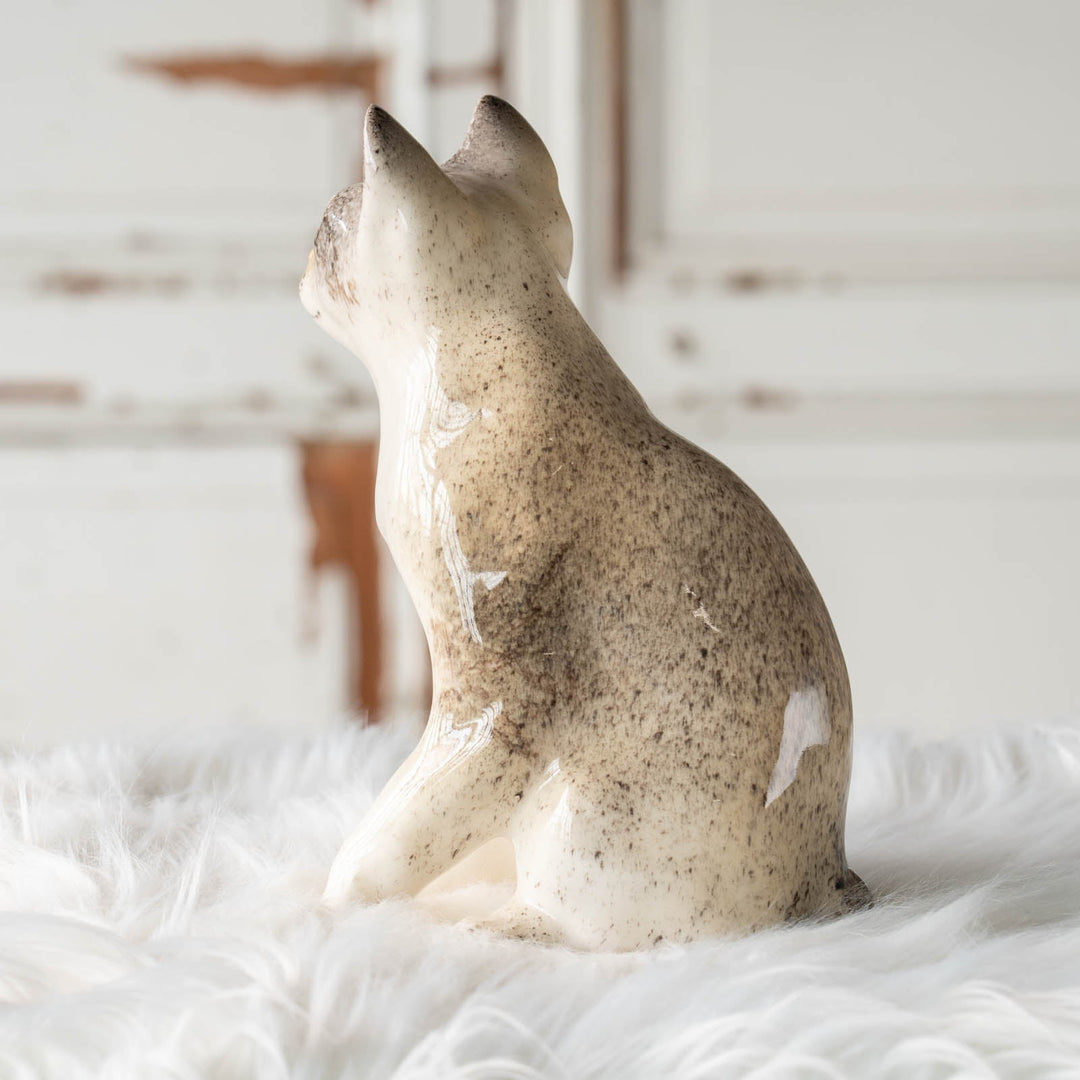 【Winstanley Cat ウィンスタンレイ キャット】◇細身の引き締まったフォルムが特徴的 ブルーアイ Oriental オリエンタル /24E[m]