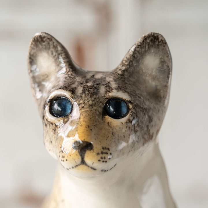 【Winstanley Cat ウィンスタンレイ キャット】◇細身の引き締まったフォルムが特徴的 ブルーアイ Oriental オリエンタル /24E[m]