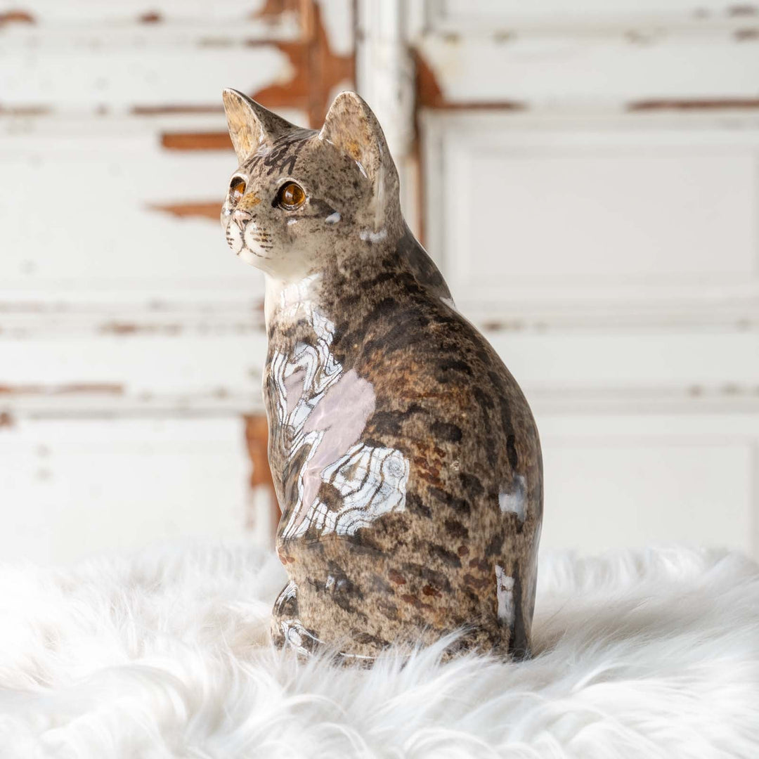 【Winstanley Cat ウィンスタンレイ キャット】◇おすまし顔でこちらを見つめる Brown tabby ブラウンタビー /24E[m]