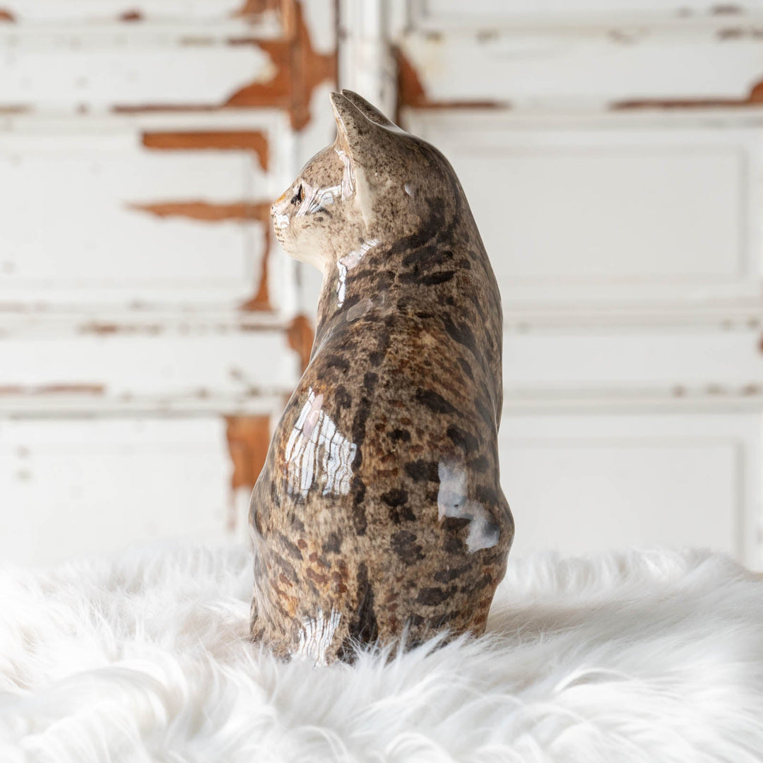 【Winstanley Cat ウィンスタンレイ キャット】◇おすまし顔でこちらを見つめる Brown tabby ブラウンタビー /24E[m]