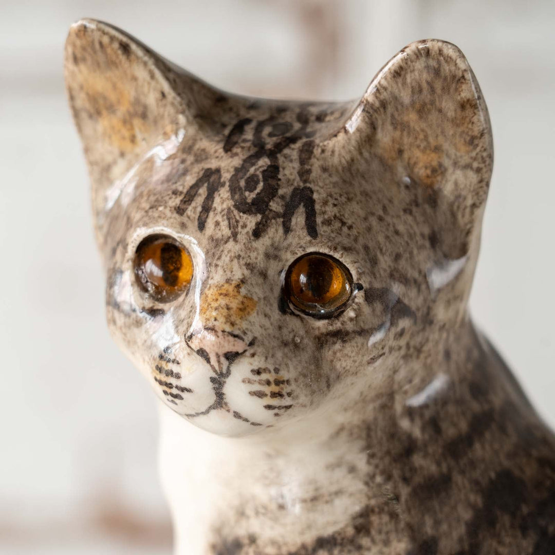 【Winstanley Cat ウィンスタンレイ キャット】◇おすまし顔でこちらを見つめる Brown tabby ブラウンタビー /24E[m]