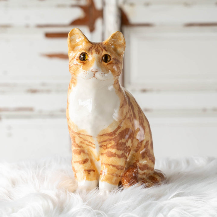 【Winstanley Cat ウィンスタンレイ キャット】◇くりくりとした丸い瞳がチャーミング Ginger ジンジャー /24E[m]