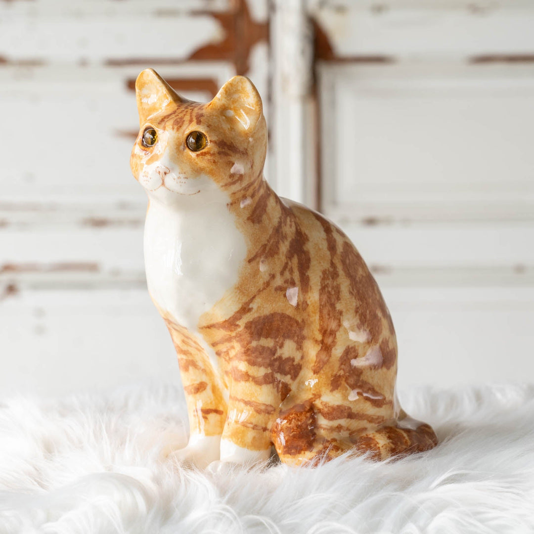 【Winstanley Cat ウィンスタンレイ キャット】◇くりくりとした丸い瞳がチャーミング Ginger ジンジャー /24E[m]