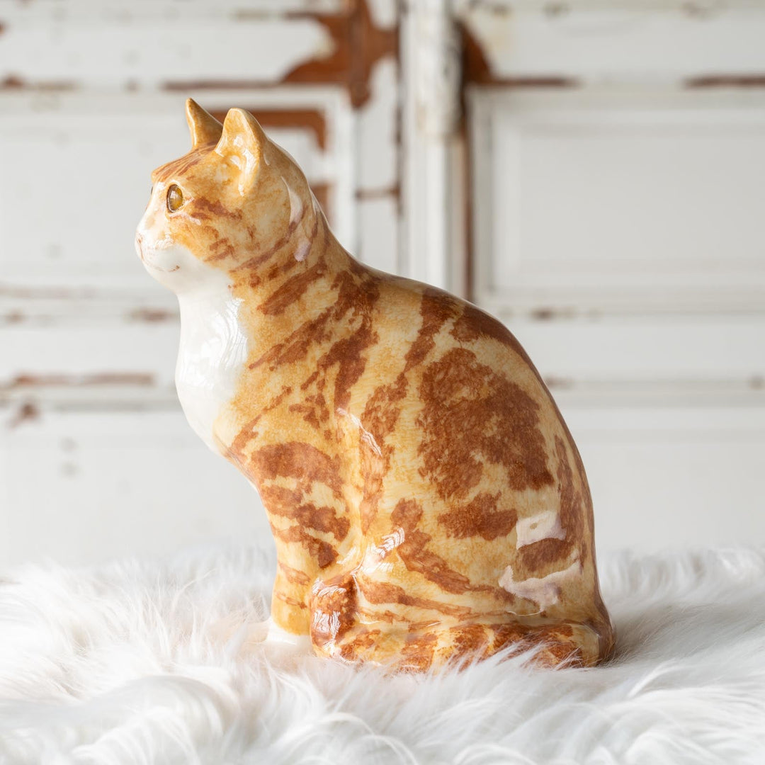【Winstanley Cat ウィンスタンレイ キャット】◇くりくりとした丸い瞳がチャーミング Ginger ジンジャー /24E[m]
