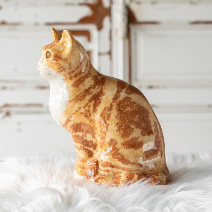 【Winstanley Cat ウィンスタンレイ キャット】◇くりくりとした丸い瞳がチャーミング Ginger ジンジャー /24E[m]