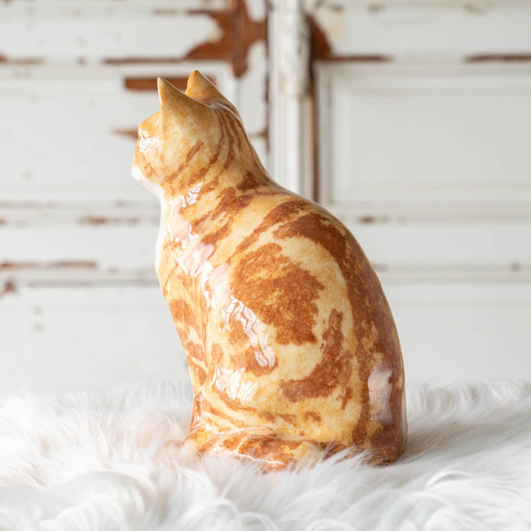 【Winstanley Cat ウィンスタンレイ キャット】◇くりくりとした丸い瞳がチャーミング Ginger ジンジャー /24E[m]