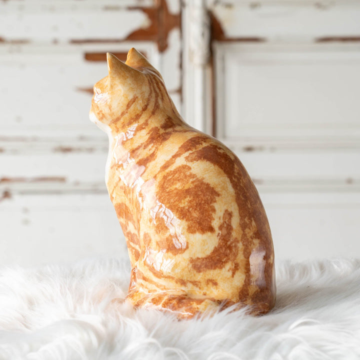 【Winstanley Cat ウィンスタンレイ キャット】◇くりくりとした丸い瞳がチャーミング Ginger ジンジャー /24E[m]