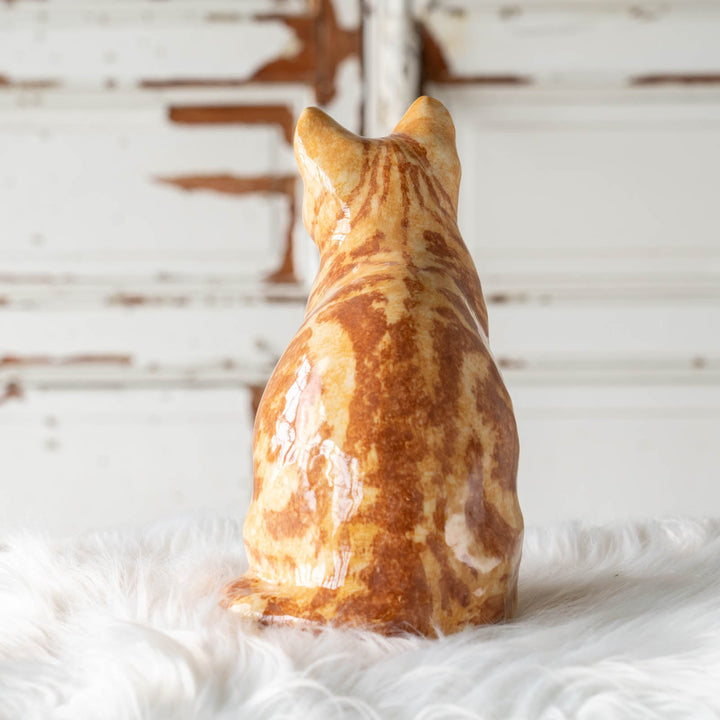 【Winstanley Cat ウィンスタンレイ キャット】◇くりくりとした丸い瞳がチャーミング Ginger ジンジャー /24E[m]
