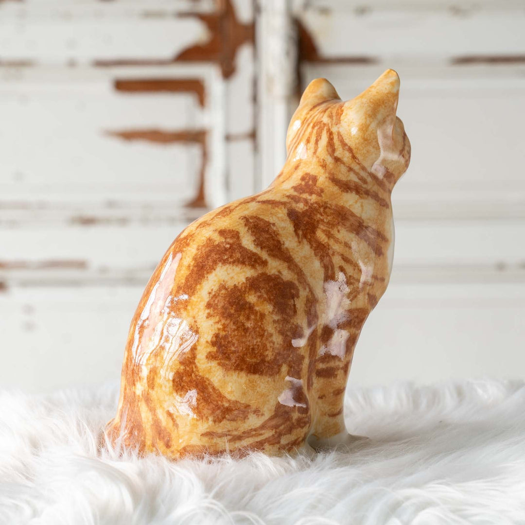【Winstanley Cat ウィンスタンレイ キャット】◇くりくりとした丸い瞳がチャーミング Ginger ジンジャー /24E[m]