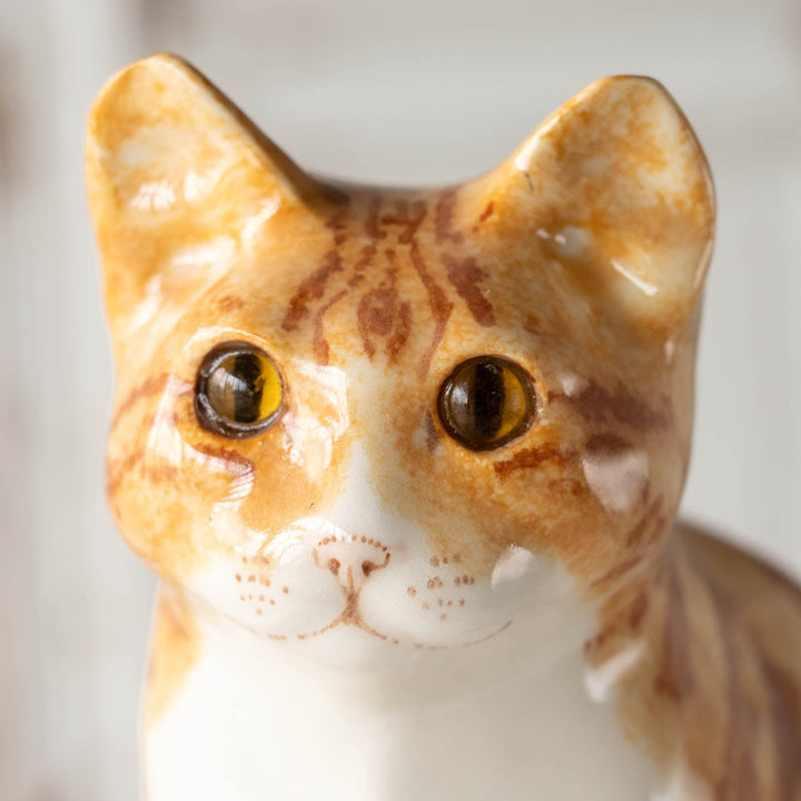 【Winstanley Cat ウィンスタンレイ キャット】◇くりくりとした丸い瞳がチャーミング Ginger ジンジャー /24E[m]