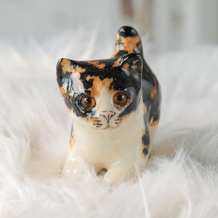 【Winstanley Cat ウィンスタンレイ キャット】◇小さなしっぽやクリームパンの様な手が愛らしい Calico キャリコ /24L-A[m]