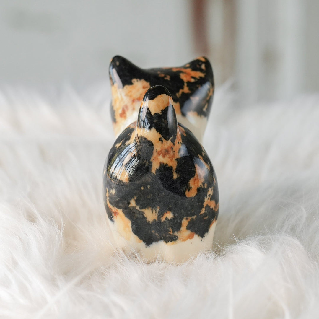 【Winstanley Cat ウィンスタンレイ キャット】◇小さなしっぽやクリームパンの様な手が愛らしい Calico キャリコ /24L-A[m]