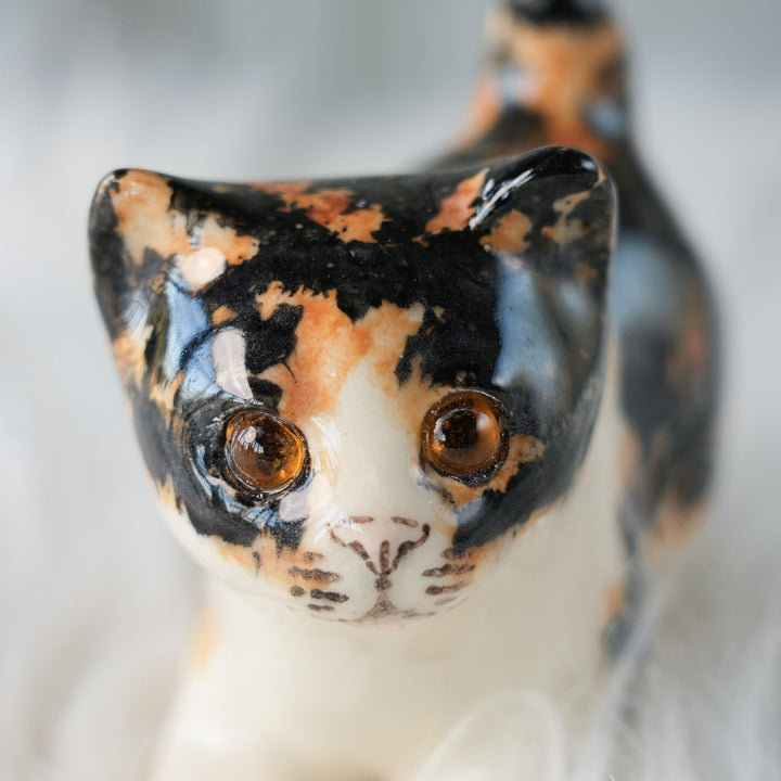【Winstanley Cat ウィンスタンレイ キャット】◇小さなしっぽやクリームパンの様な手が愛らしい Calico キャリコ /24L-A[m]