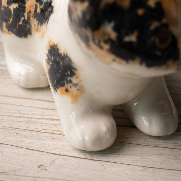 【Winstanley Cat ウィンスタンレイ キャット】◇小さなしっぽやクリームパンの様な手が愛らしい Calico キャリコ /24L-A[m]