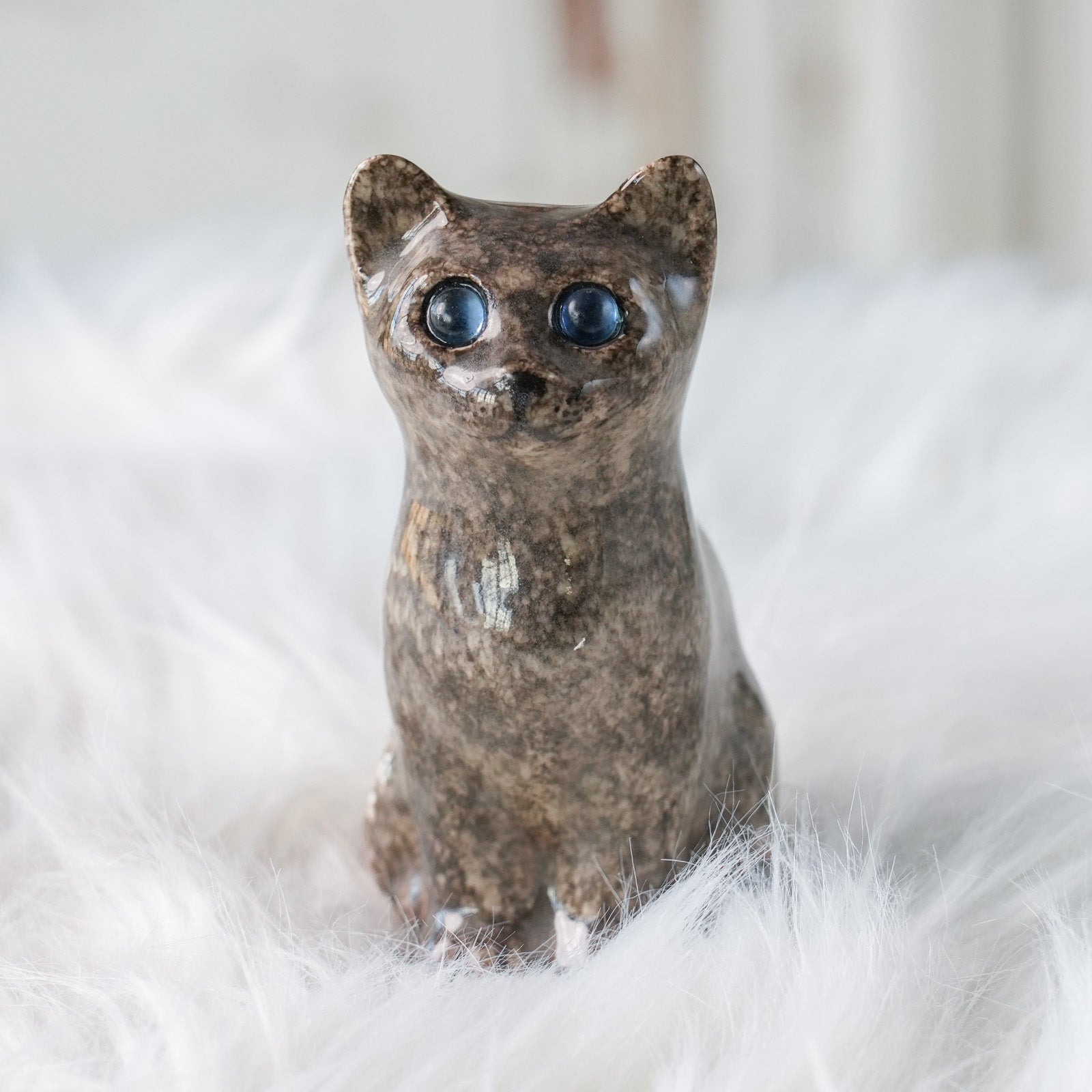 Winstanley Cat ウィンスタンレイ キャット】まん丸お目目が特徴的