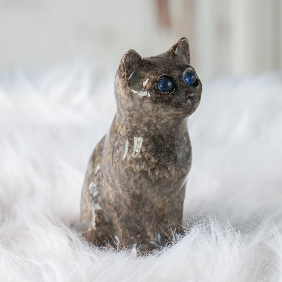 【Winstanley Cat ウィンスタンレイ キャット】◇まん丸お目目が特徴的 ブルーアイ Solid grey グレー /24L[m]