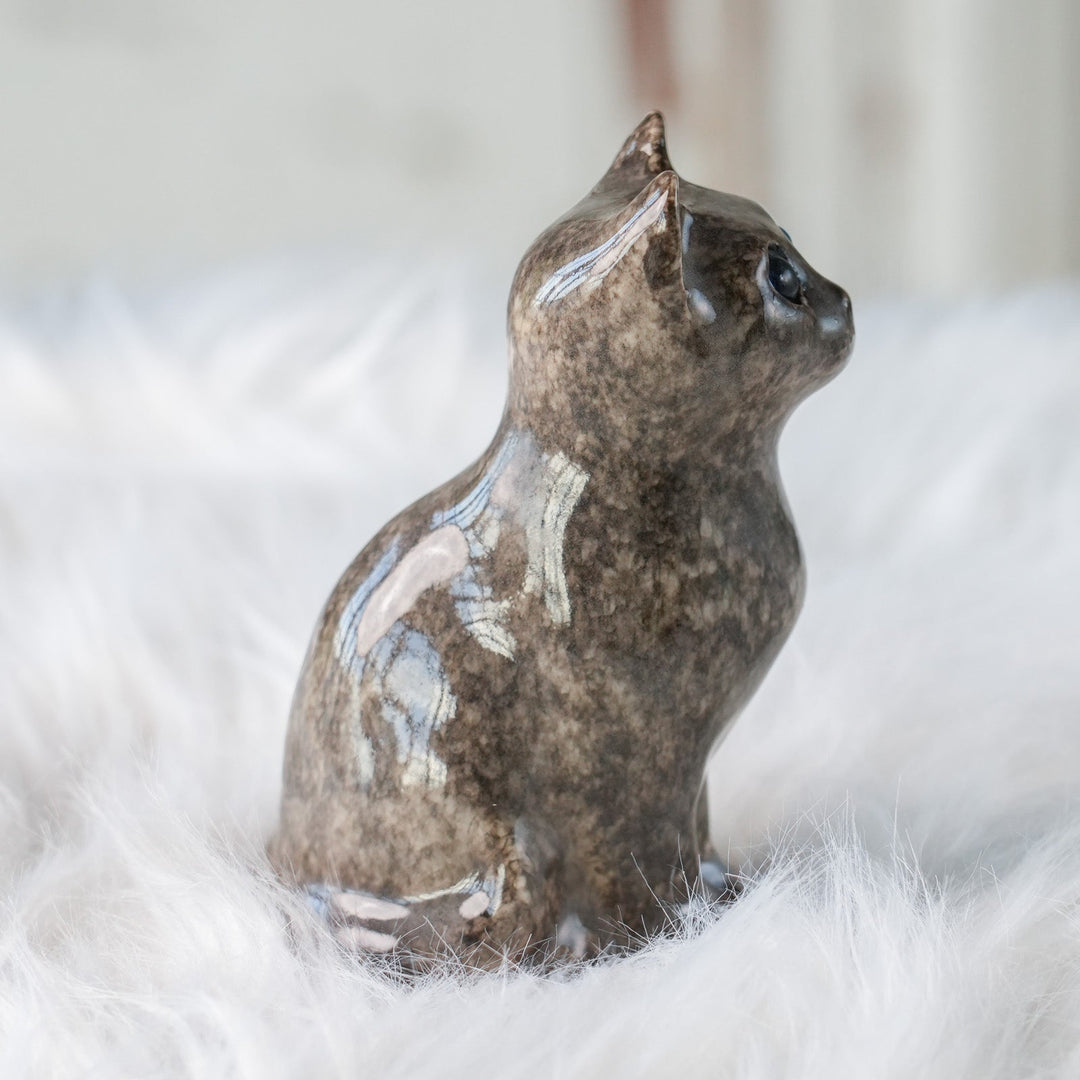 【Winstanley Cat ウィンスタンレイ キャット】◇まん丸お目目が特徴的 ブルーアイ Solid grey グレー /24L[m]