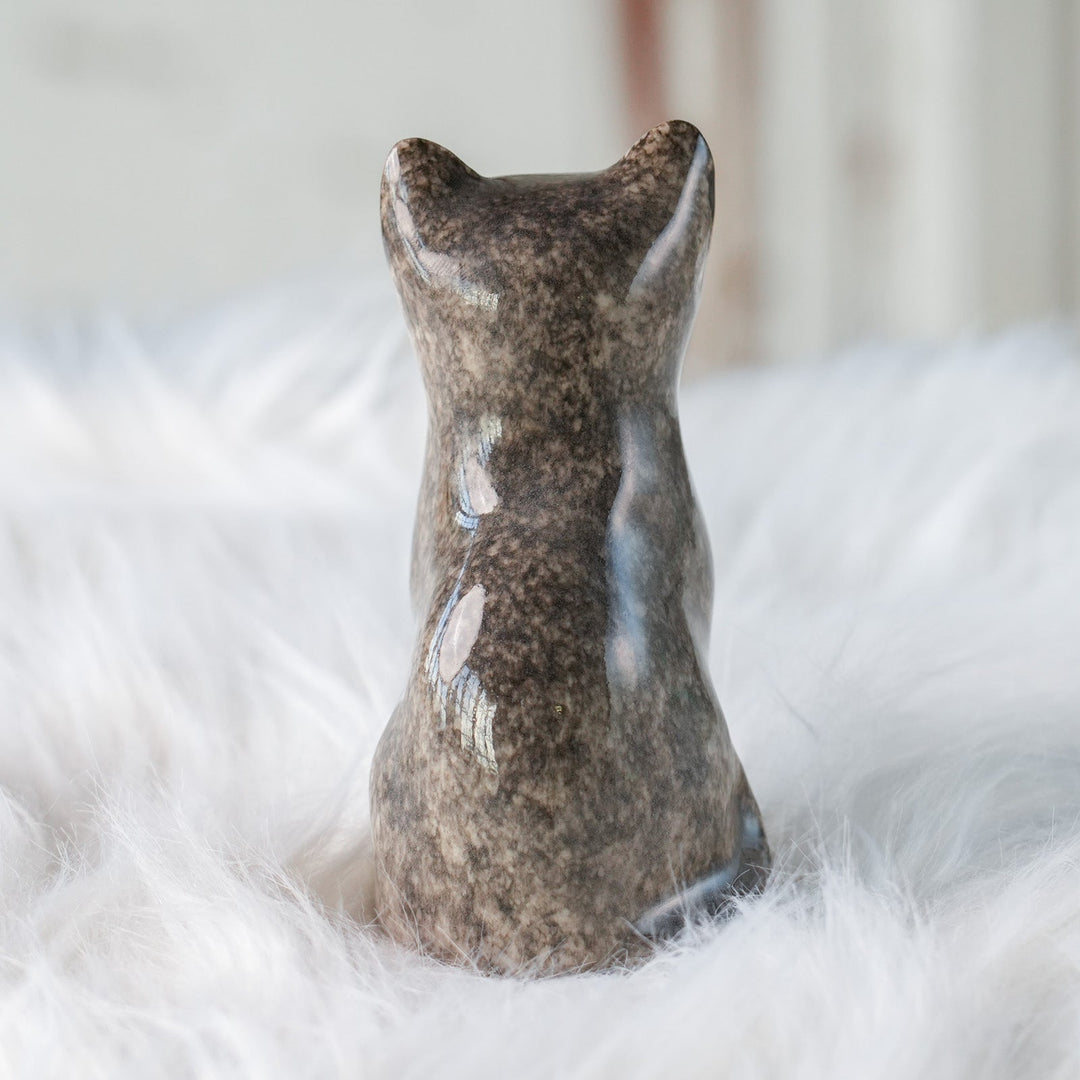 【Winstanley Cat ウィンスタンレイ キャット】◇まん丸お目目が特徴的 ブルーアイ Solid grey グレー /24L[m]