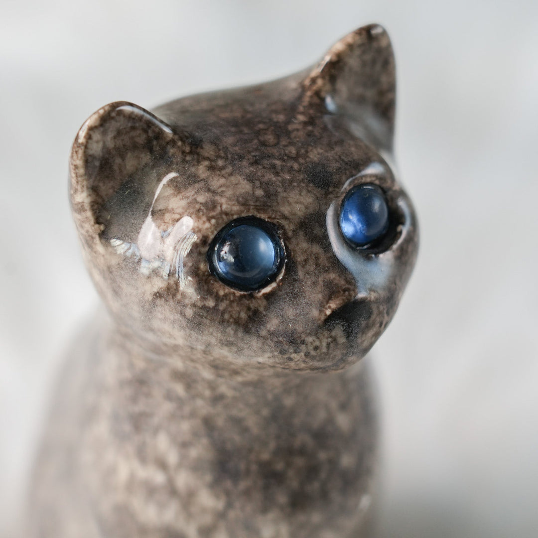 【Winstanley Cat ウィンスタンレイ キャット】◇まん丸お目目が特徴的 ブルーアイ Solid grey グレー /24L[m]