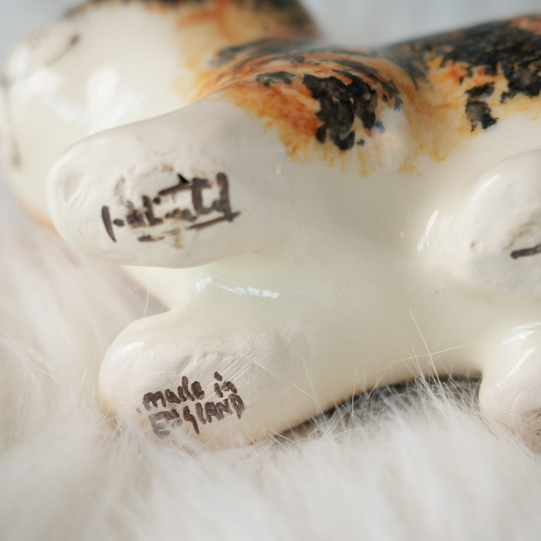 【Winstanley Cat ウィンスタンレイ キャット】◇小さなしっぽやクリームパンの様な手が愛らしい Calico キャリコ /24L-B[m]