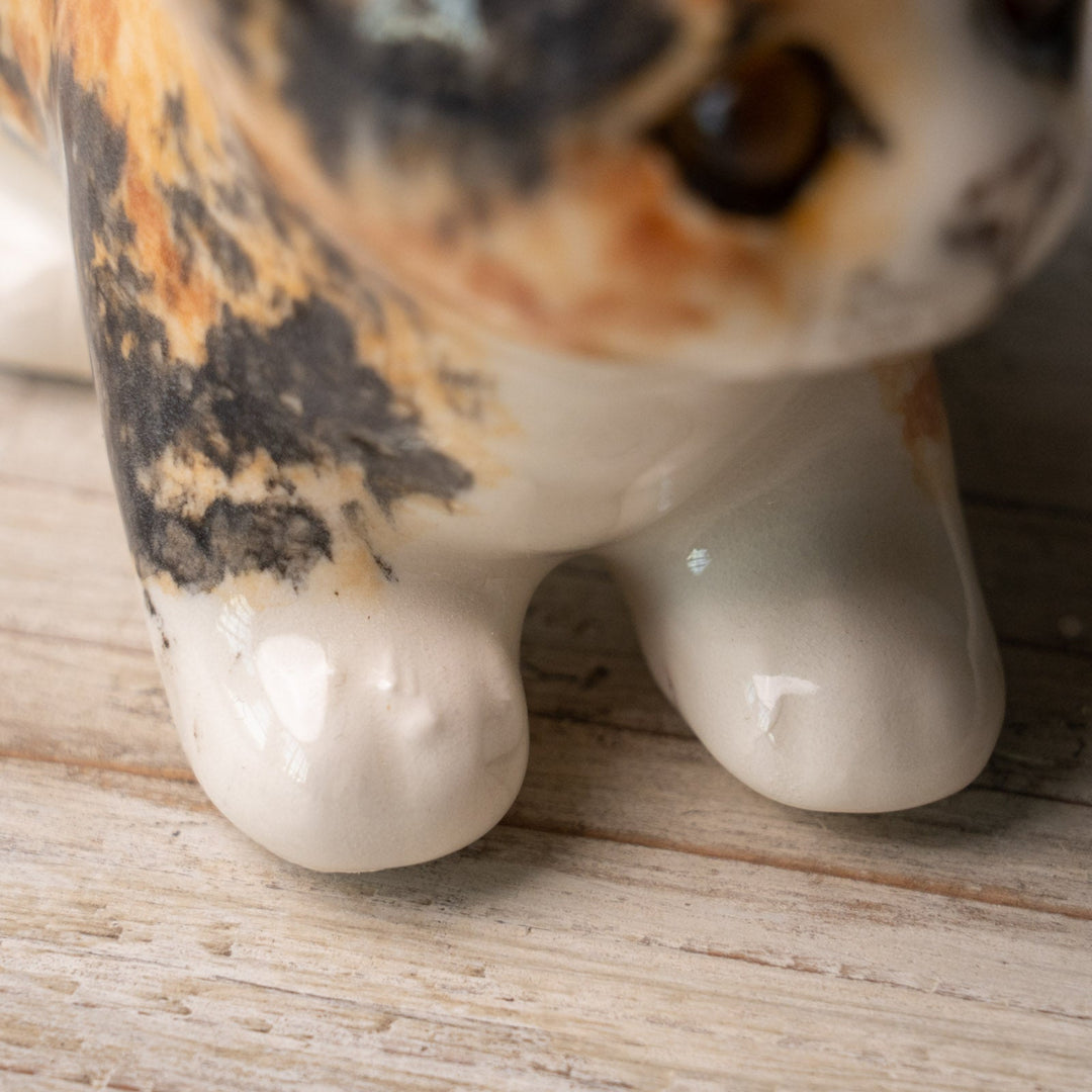 【Winstanley Cat ウィンスタンレイ キャット】◇小さなしっぽやクリームパンの様な手が愛らしい Calico キャリコ /24L-B[m]